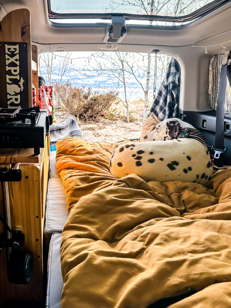 camping-set-up-elifecampers-honda-element
